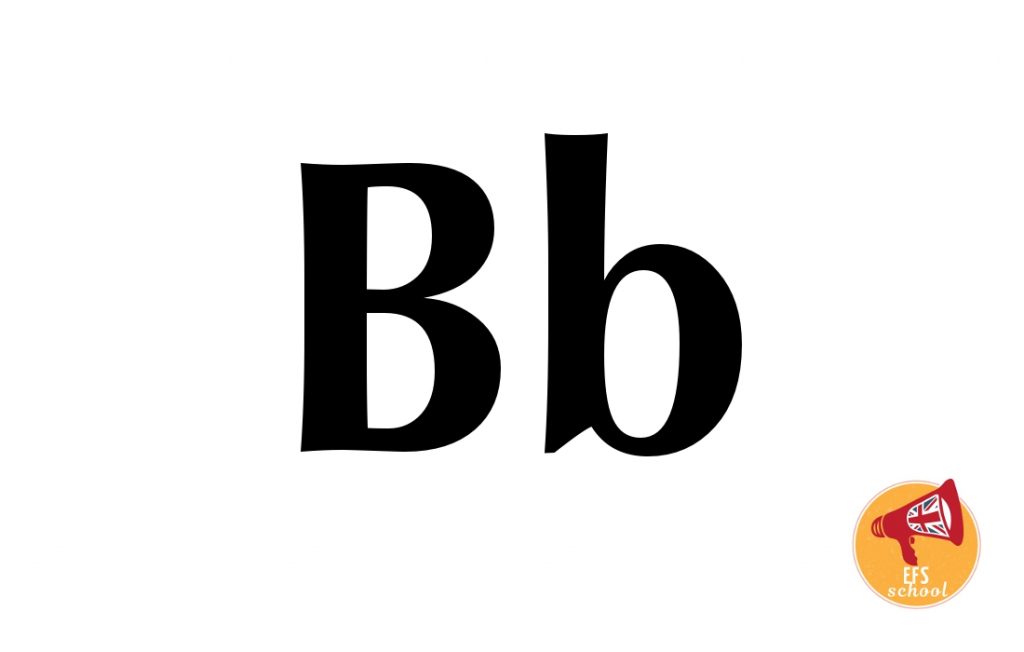 EFS-ONE-B