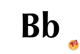 EFS-ONE-B