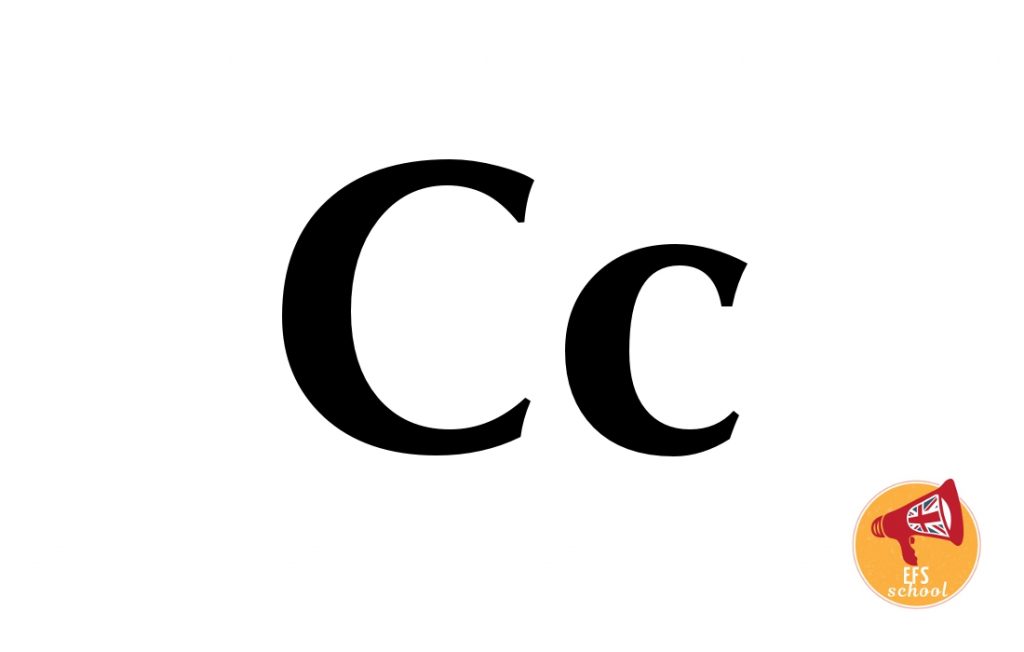 EFS-ONE-C