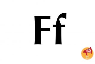 EFS-ONE-F