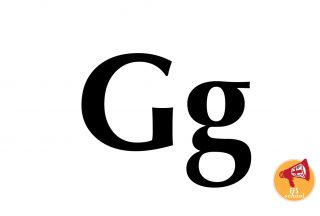 EFS-ONE-G