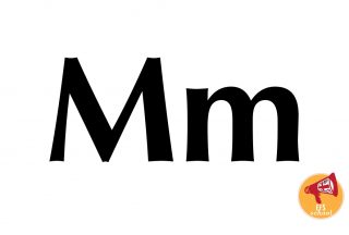 EFS-ONE-M