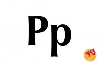 EFS-ONE-P