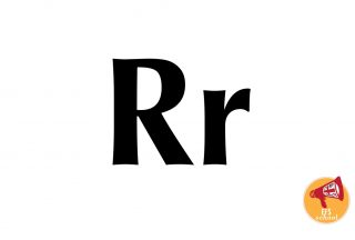 EFS-ONE-R