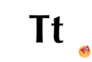 EFS-ONE-T