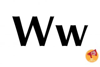 EFS-ONE-W