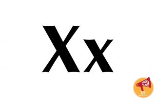 EFS-ONE-X