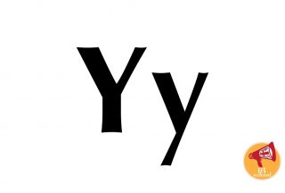 EFS-ONE-Y